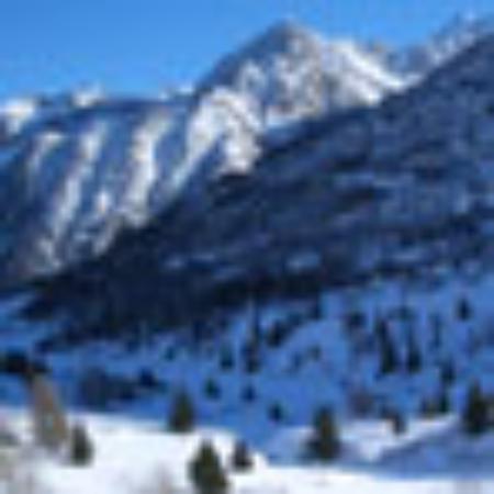 Hungry Howie's Pizza